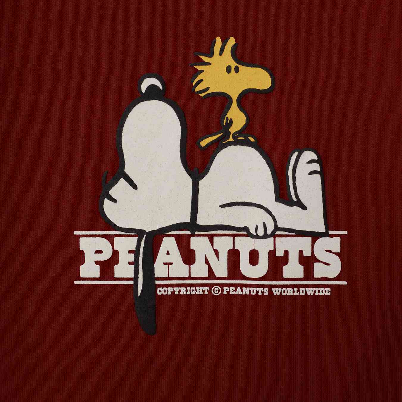 Junior Comfort Fit Snoopy Print Tee - Giordano