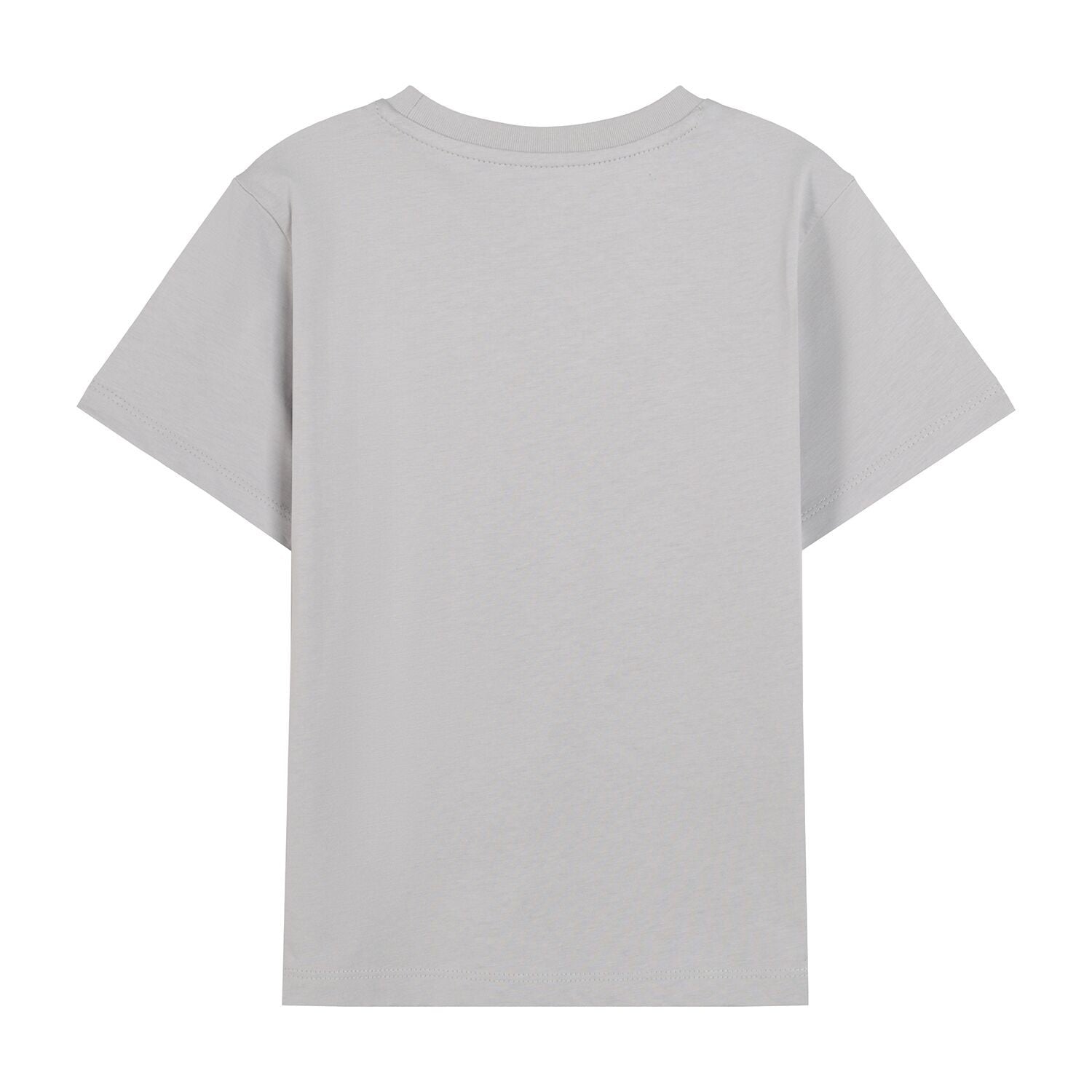 Junior Regular Fit Graphic Print Tee - Giordano