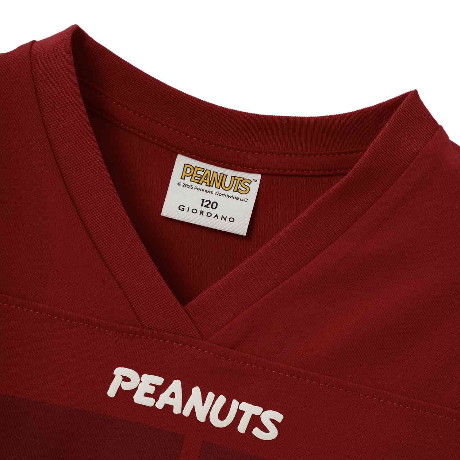 Junior Relaxed Fit Snoopy Print Tee - Giordano