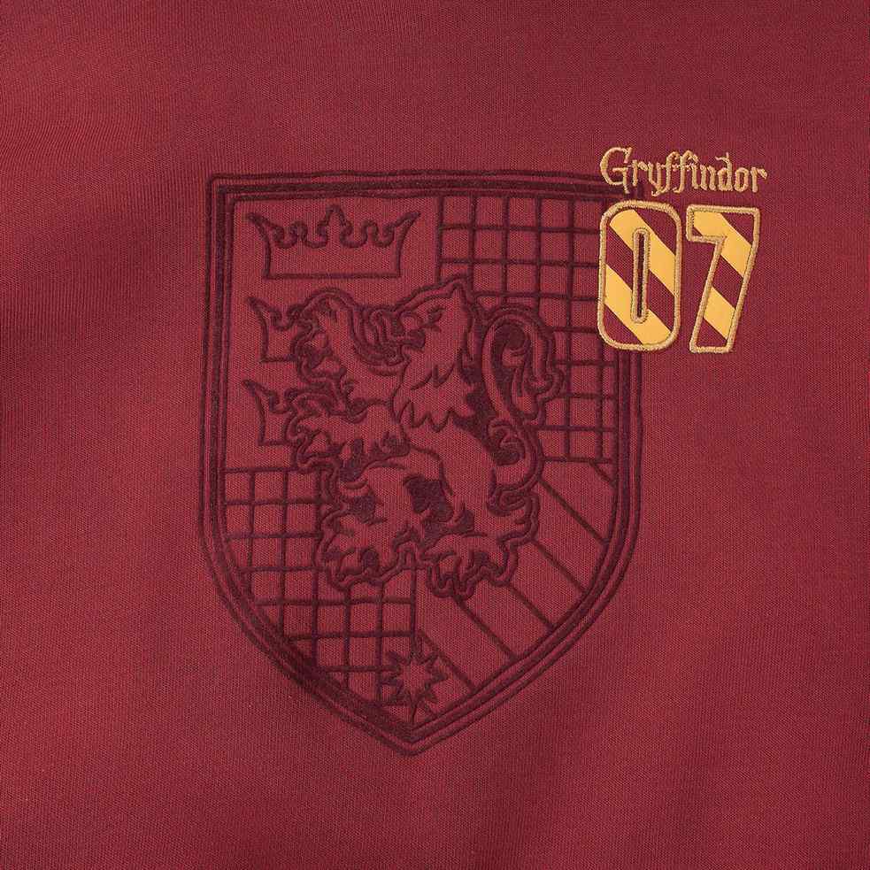 Junior's Harry Potter Relaxed Fit Graphic Hoodie - Giordano